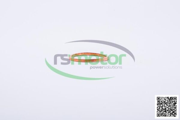 Sealing Ring Jenbacher RS-100829 - Image 3