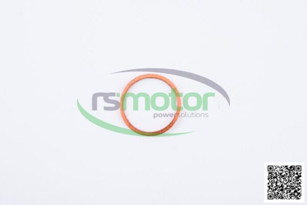 Sealing Ring Jenbacher RS-100829 - Image 4