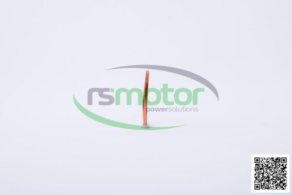 Sealing Ring Jenbacher RS-100829 - Image 5