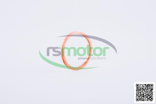 Sealing Ring Jenbacher RS-100829 - Image 6