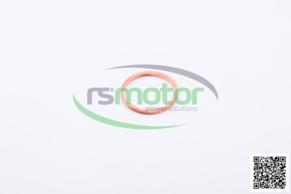 Sealing ring Jenbacher RS-100837 - Image 2