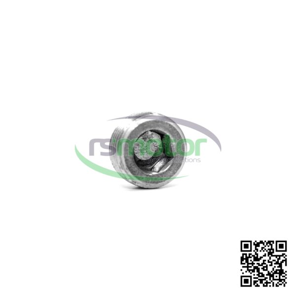 Screw plug Jenbacher RS-101148 - Image 6