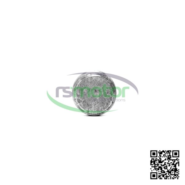 Screw plug Jenbacher RS-101148 - Image 4