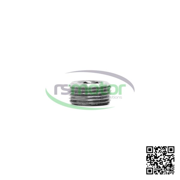 Screw plug Jenbacher RS-101148 - Image 3