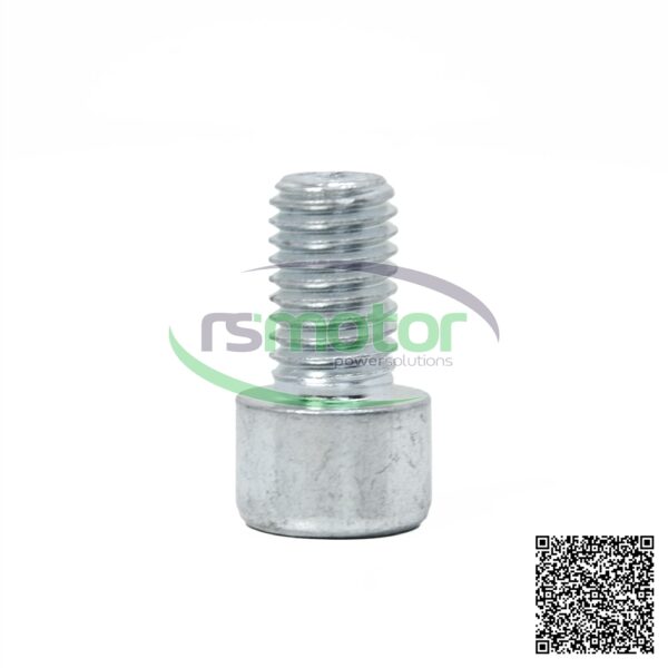 Tornillo cilíndrico Jenbacher RS-101193 - Imagen 2