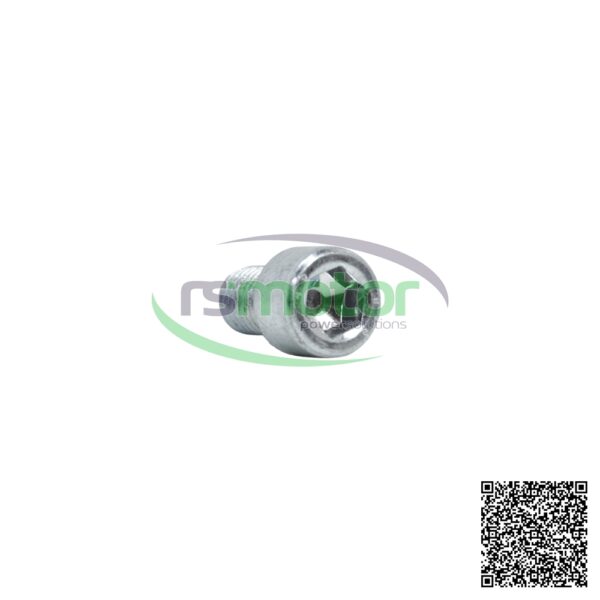 Tornillo cilíndrico Jenbacher RS-101193 - Imagen 4