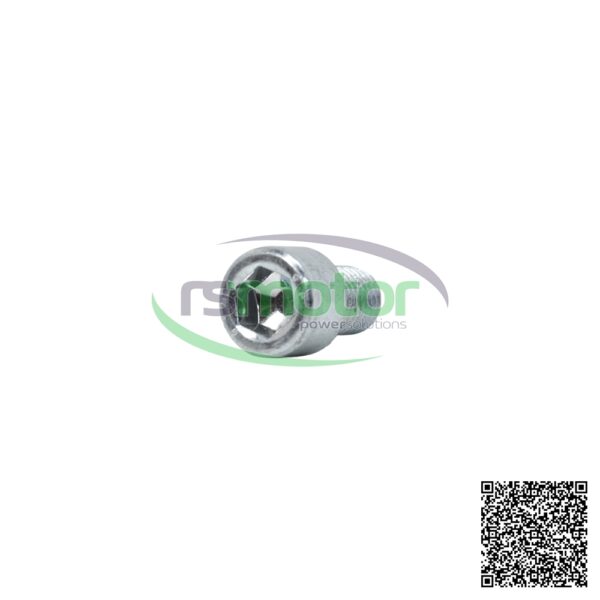 Tornillo cilíndrico Jenbacher RS-101193 - Imagen 3