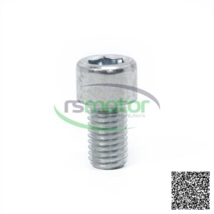 Cylinder screw Jenbacher RS-101193