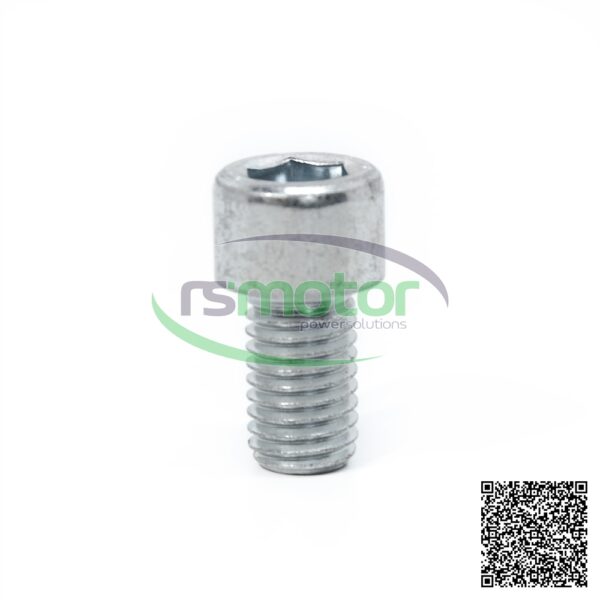 Tornillo cilíndrico Jenbacher RS-101193