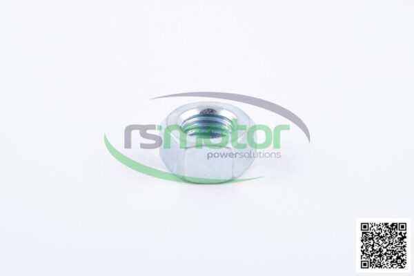 Tuerca Hexagonal Jenbacher RS-101829 - Imagen 2