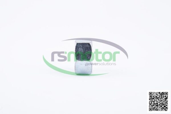 Tuerca Hexagonal Jenbacher RS-101829 - Imagen 6