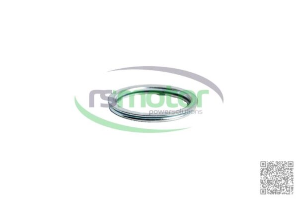 Sealing ring Jenbacher RS-102981 - Image 3