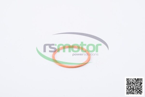 Sealing Ring Jenbacher RS-104069 - Image 2
