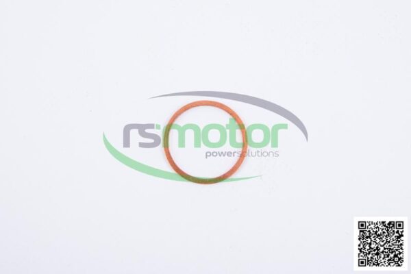 Sealing Ring Jenbacher RS-104069 - Image 5