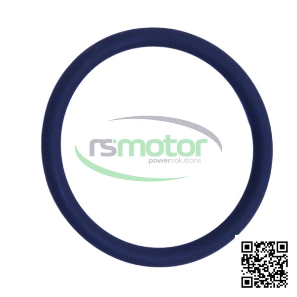 Oring Jenbacher RS-105778 - Imagen 6