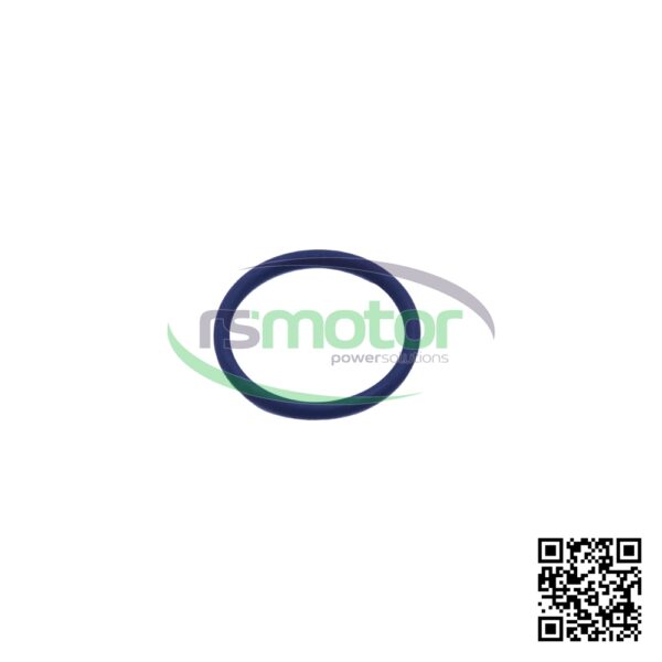 Oring Jenbacher RS-105778 - Imagen 5