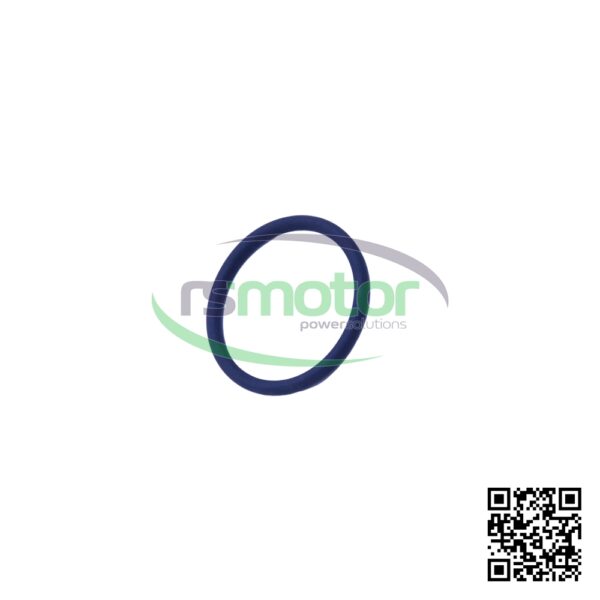 Oring Jenbacher RS-105778 - Imagen 4
