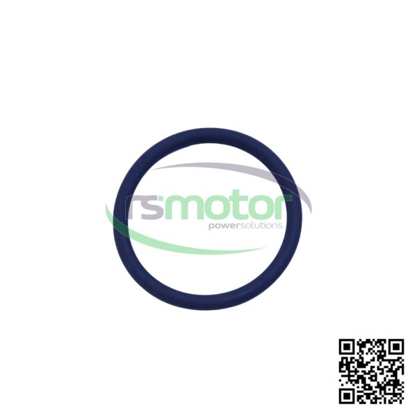 Oring Jenbacher RS-105778 - Imagen 2
