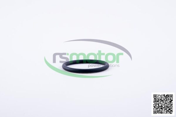 Oring Jenbacher RS-105778 - Image 3