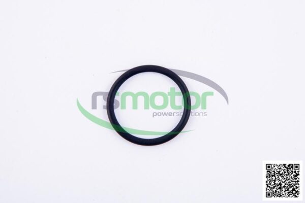 Oring Jenbacher RS-105778 - Image 4