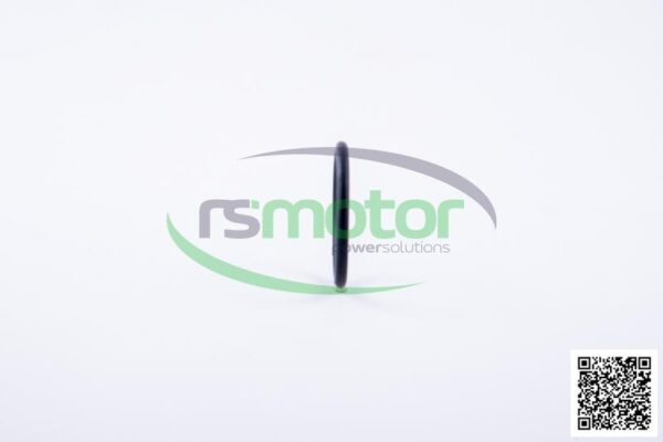 Oring Jenbacher RS-105778 - Image 5