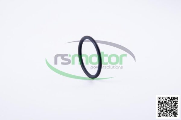 Oring Jenbacher RS-105778 - Image 6