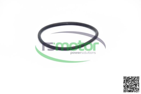 O-ring Jenbacher RS-105852 - Image 2