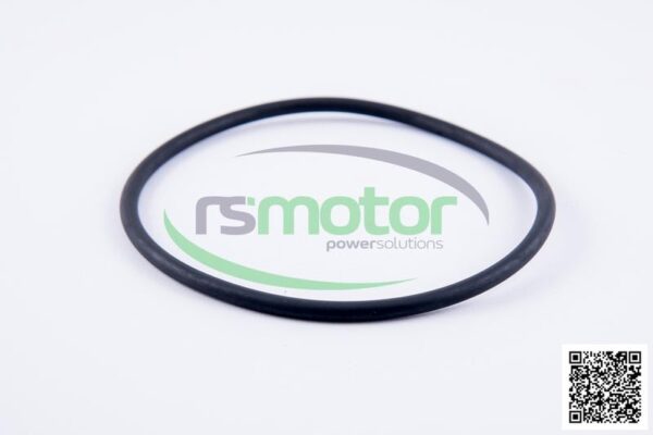 O-Ring Jenbacher RS-105863 - Image 2