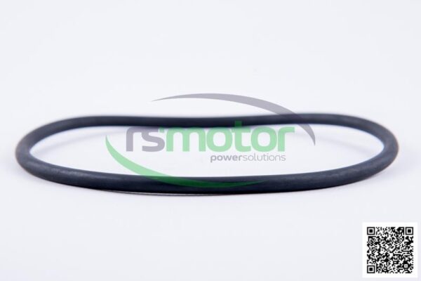 O-Ring Jenbacher RS-105863 - Image 3
