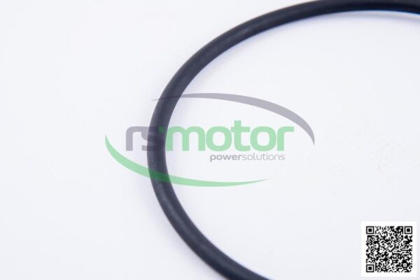 O-Ring Jenbacher RS-105863 - Image 6