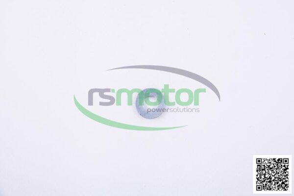 Spring Washer Jenbacher RS-110966 - Image 2