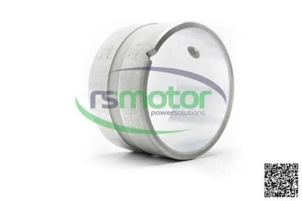 Cojinete MWM RS-12027574 - Imagen 2