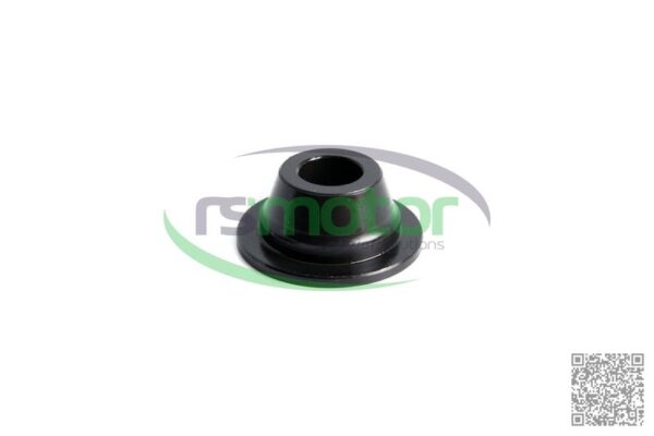 Resorte MWM RS-12028029 - Imagen 2