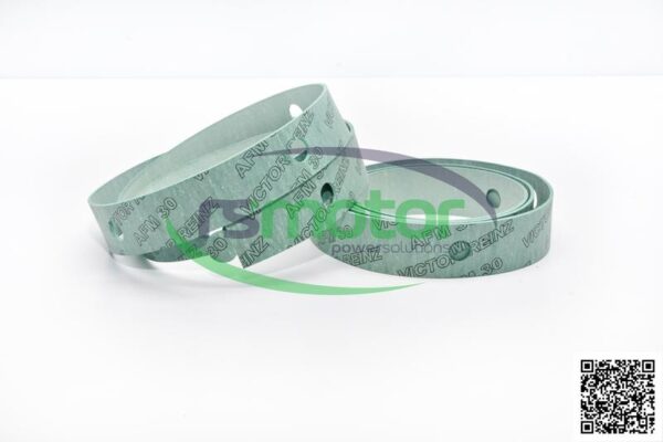 Gasket MWM RS-12028089 - Image 2