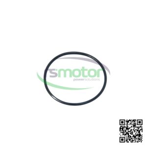 Junta Tórica MWM 12030113 sobre un fondo blanco y con el logo de "RS Motor" en el centro