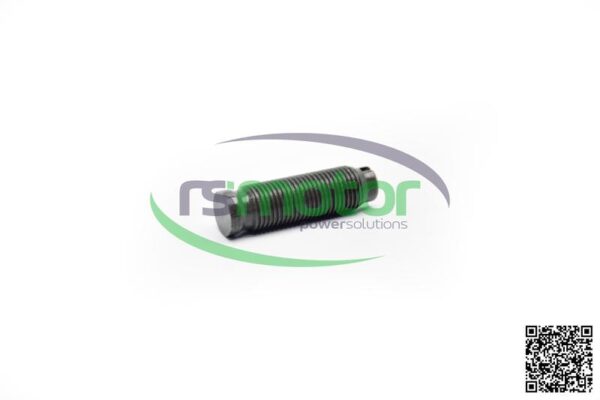 Adjusting screw MWM RS-12030195 - Image 5