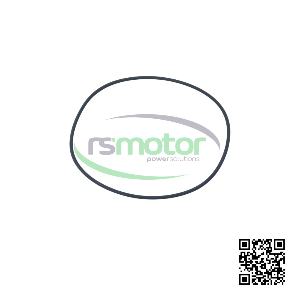 Junta Tórica MWM 
12031170 sobre un fondo blanco y con el logo de "RS Motor" en el centro