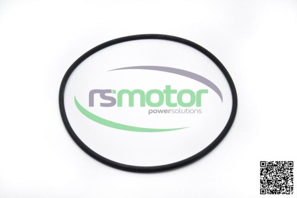 Sealing ring MWM RS-12031817 - Image 2