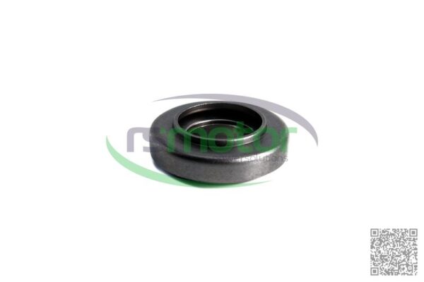 Rotocap MWM RS-12032859 - Imagen 2
