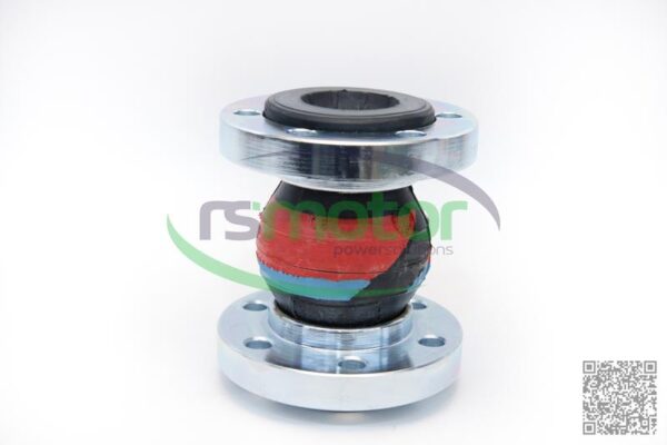 Compensador MWM RS-12037132 - Imagen 2