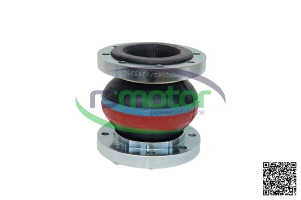 Compensador MWM RS-12037138 - Imagen 2