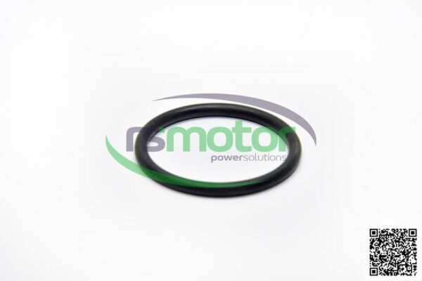 O-Ring MWM RS-12045101 - Image 2