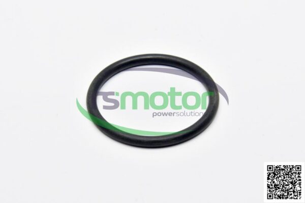 O-Ring MWM RS-12045101 - Image 3