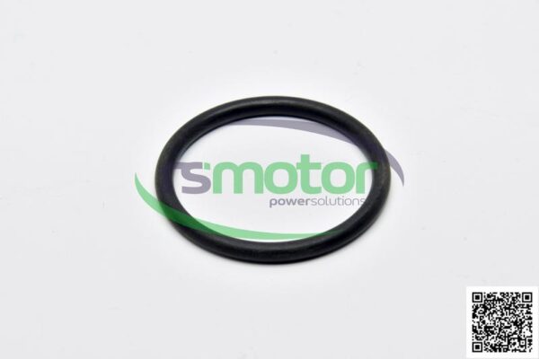 O-Ring MWM RS-12045101 - Image 4