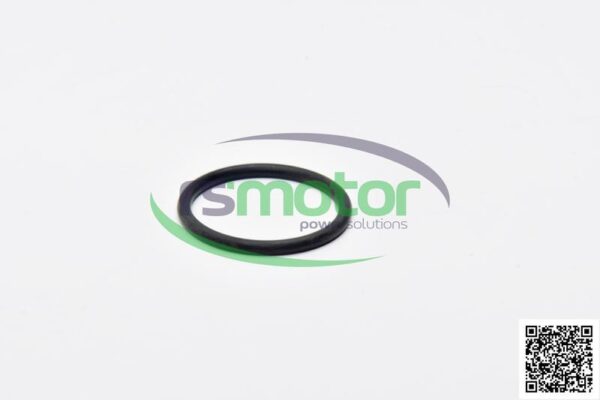 O-Ring MWM RS-12045101 - Image 5