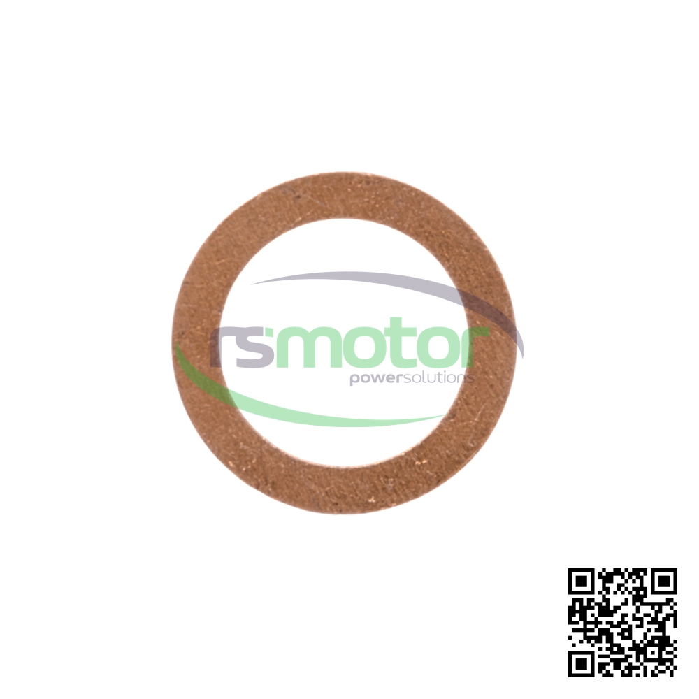 A fMWM plain washer with reference RS12045253 on a white background with the "RS Motor" logo in the background and a QR