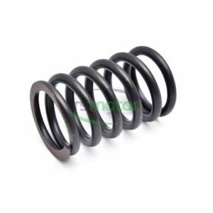 Valve spring MWM RS-12134406
