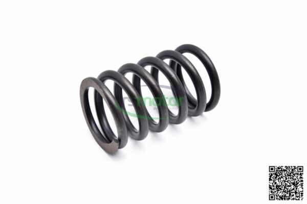 Valve spring MWM RS-12134406