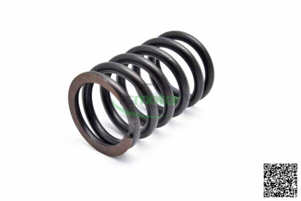 Valve spring MWM RS-12134406 - Image 4