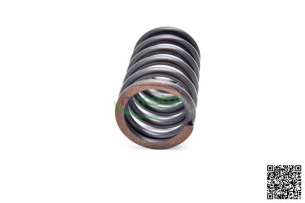 Valve spring MWM RS-12134406 - Image 3